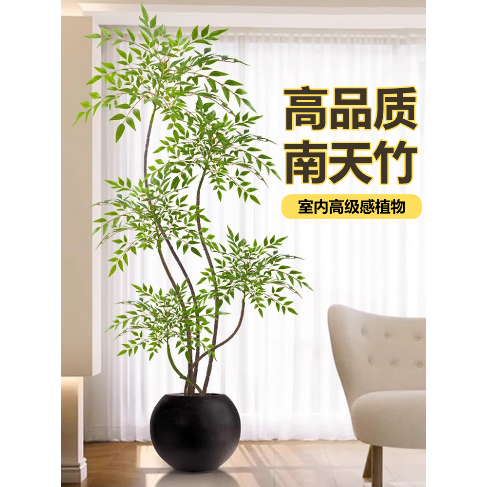 南天竹盆栽客厅真树室内绿植大型植物树苗办公室火焰老桩落地造景,淘宝优惠券,粉丝福利购,淘宝优惠卷