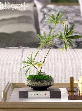 新中式茶桌摆花样板间茶室花架假花摆设饭店家具桌花仿真花艺摆件