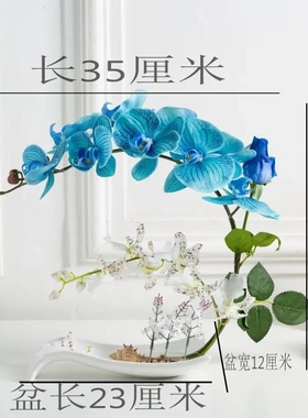 手感仿真蝴蝶兰套装假花盆栽