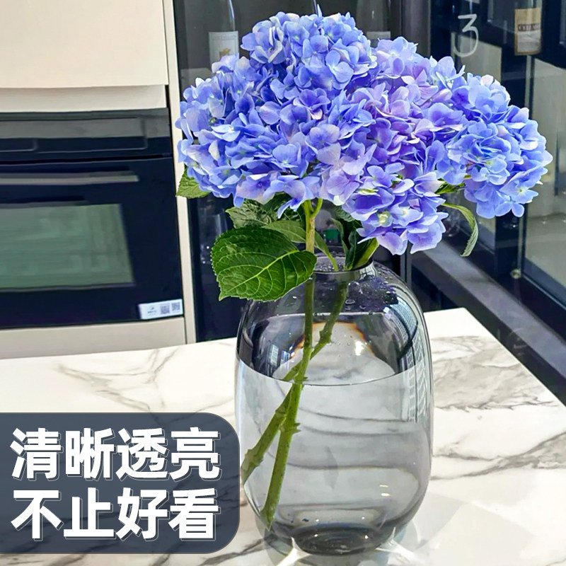 玻璃花瓶摆件客厅插花透明水养轻奢高级感水培鲜花大口径绿植卧室