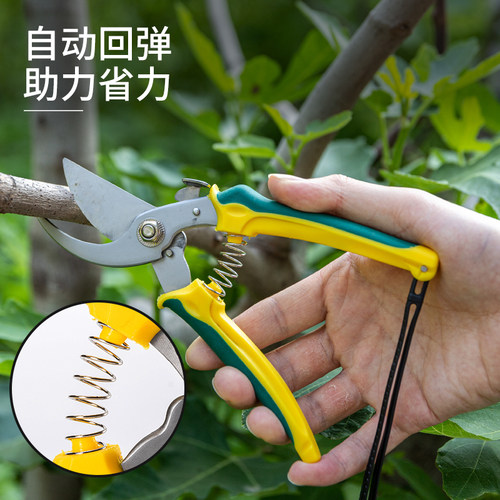 园艺剪刀园林强力果树摘果花艺剪刀修枝剪花粗枝神器树枝家用剪子 - 图0