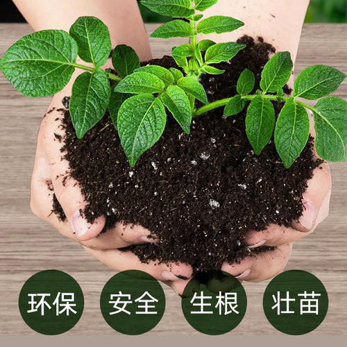 多肉营养土种菜蔬菜通用型种植花土壤盆栽种花泥土家用珍珠岩韭菜 - 图3