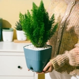 Креативный пластиковый квадратный маленький дизайнерский цветочный горшок для домашнего использования, простой и элегантный дизайн, прямые продажи с завода, тренд сезона