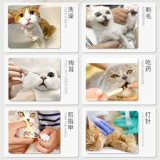 Кошачья крышка кошачья кошачья крышка кошачья анти -подчеркивающие перчатки