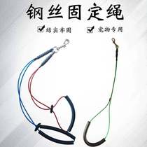 Pet Sponge Fixed Single Rope Training Bite Double Dog Constant Wire Protection Control Beauty Sling Table Head Body