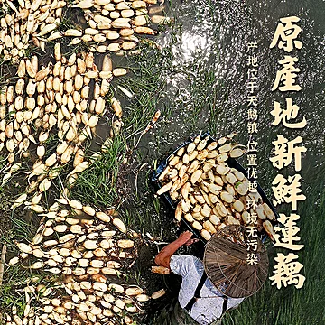 酥香藕夹半成品360g*2袋[21元优惠券]-寻折猪