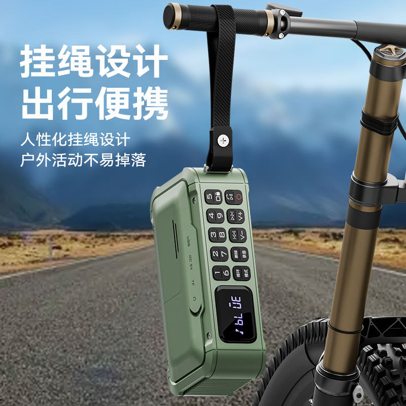 山水F63高品质蓝牙音箱FM收音机接打电话轻便插卡U盘耳机内外录音