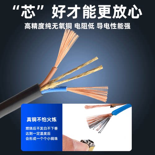 远通电线两芯国标纯铜家用户外电线防水防冻插排线电车充电延长线 - 图0