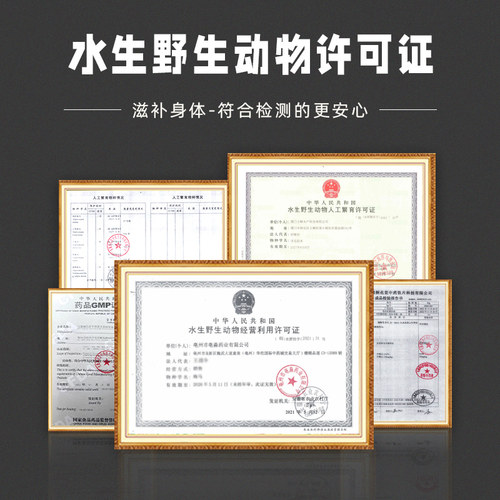 海马干货正品三斑海马中药材一公一母中药饮片海马药材泡酒料煲汤 - 图3