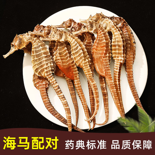 海马干货正品三斑海马中药材一公一母中药饮片海马药材泡酒料煲汤 - 图0