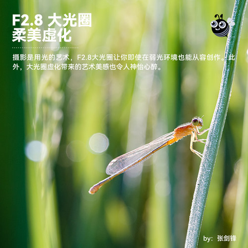 铭匠光学40mm f2.8微距镜头适用尼康Z松下M43富士X索尼E卡口 - 图2