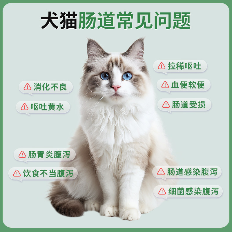 朗博特 调节肠胃口服液 猫咪软便拉稀狗狗拉肚子宠物呕吐腹泻止泻,淘宝优惠券,粉丝福利购,淘宝优惠卷
