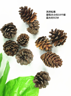 幼儿园墙面装饰 森林系主题黑板报素材 树枝圆木片枯树藤 DIY手工