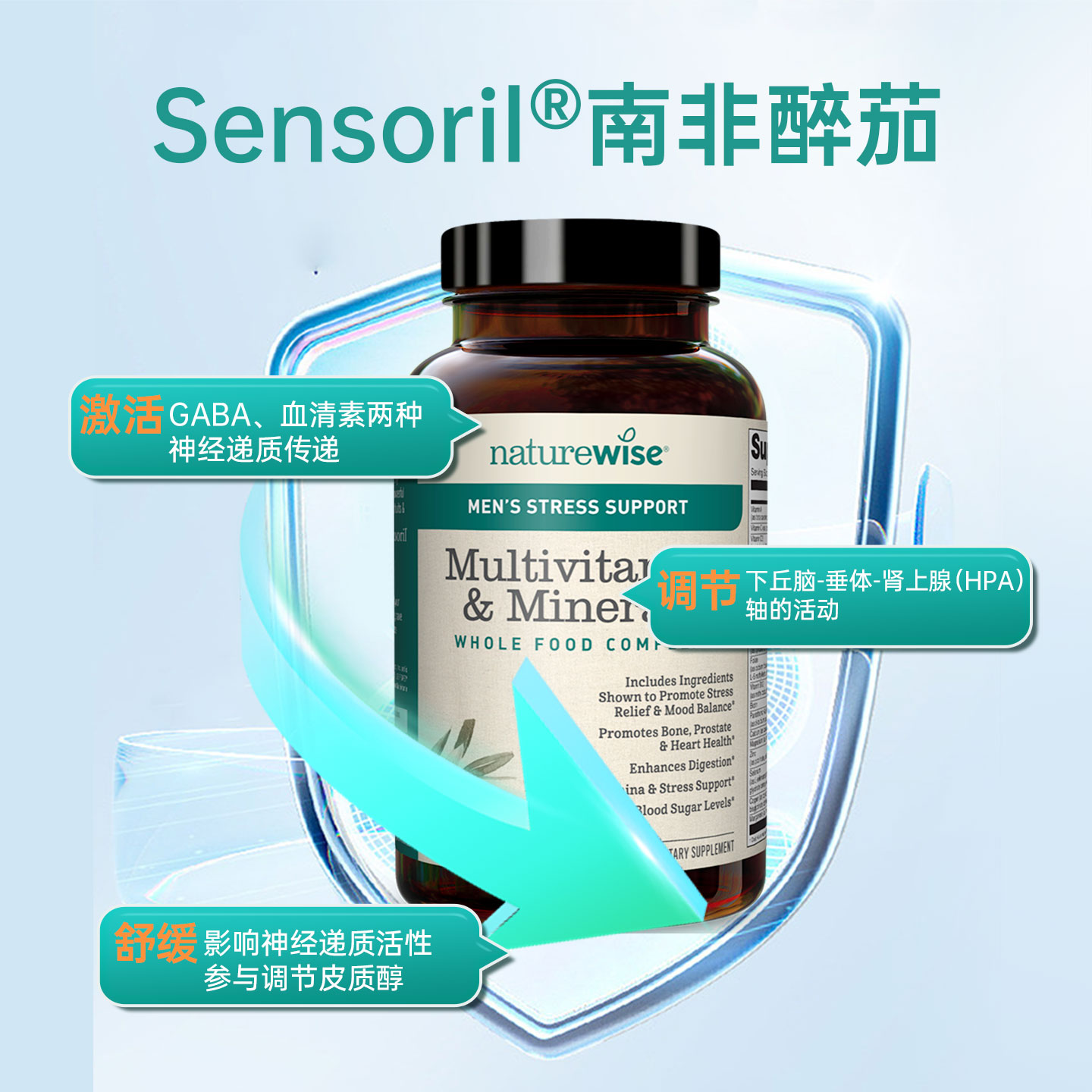 2瓶Naturewise男性超维醉茄复合维生素南非醉茄代谢慢新陈代谢