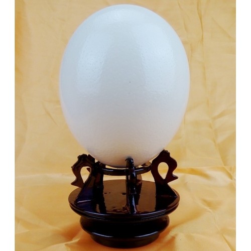 鸵鸟蛋专用木质底座鸵鸟蛋壳支架底托底坐架子鸵鸟蛋壳蛋雕工艺。 - 图0