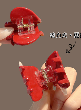 公主头小抓夹女高级感刘海侧边夹