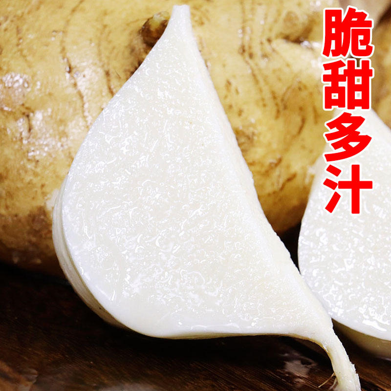 广西凉薯10斤大果新鲜现挖地瓜豆薯农家红薯白地瓜番薯当季水果