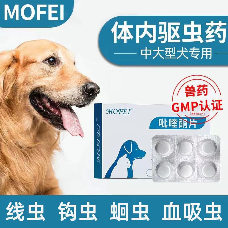 mofei小中大型犬体内除虫药狗狗金毛哈士奇宠物打虫药吡喹酮片 - 图0