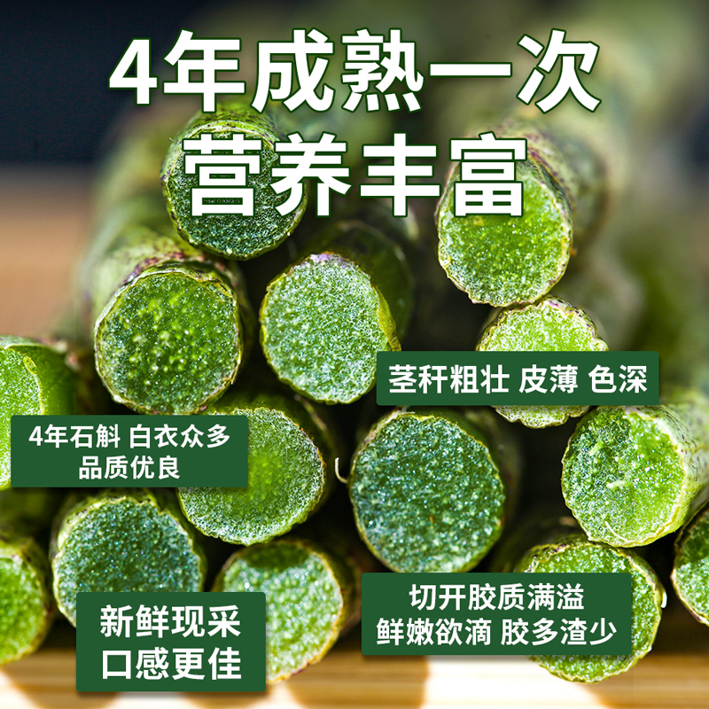 沁徽堂旗舰店正宗安徽霍山铁皮石斛鲜条500g新鲜枫斗颗粒干条礼盒包装养生茶0