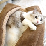 Универсальный удерживающий тепло ковер для сна, кровать, домашний питомец, кот