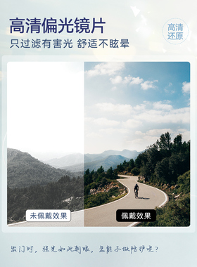 ZIPPO偏光墨镜男款飞行员太阳眼镜时尚防紫外线开车专用眼镜65006