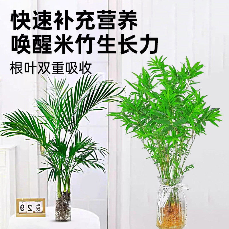 凤尾竹专用营养液花肥水培米竹凤尾蕉专用肥料散尾葵水溶液体盆栽,淘宝优惠券,粉丝福利购,淘宝优惠卷