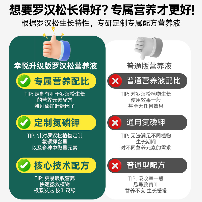 罗汉松营养液花肥罗汉松专用肥叶枯病黄叶盆景养护叶面肥迎客松 - 图0