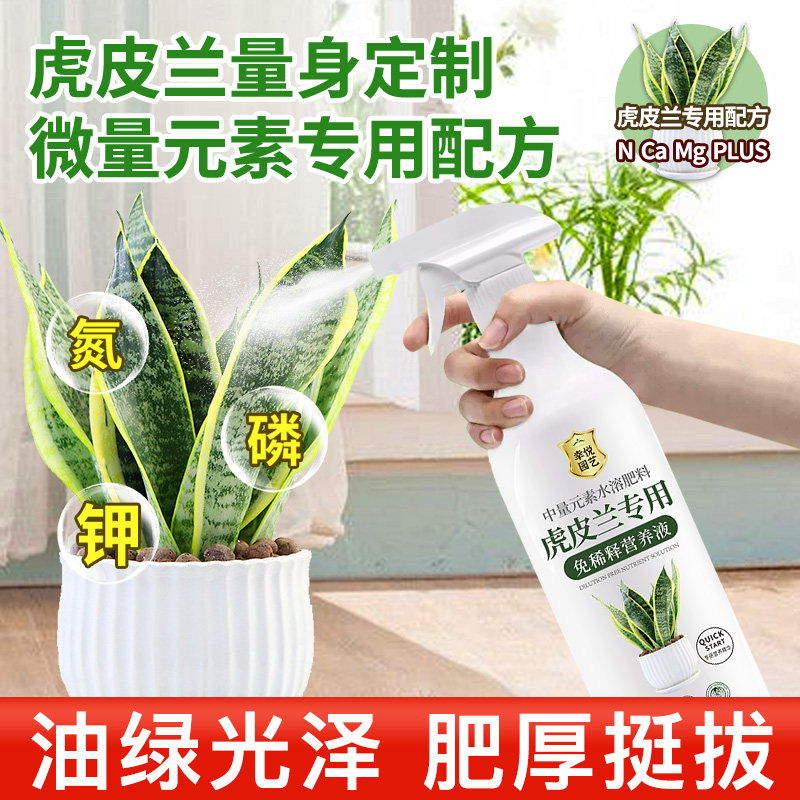 虎皮兰营养液免稀释花肥虎皮兰专用肥料盆栽金边绿植水溶肥,淘宝优惠券,粉丝福利购,淘宝优惠卷