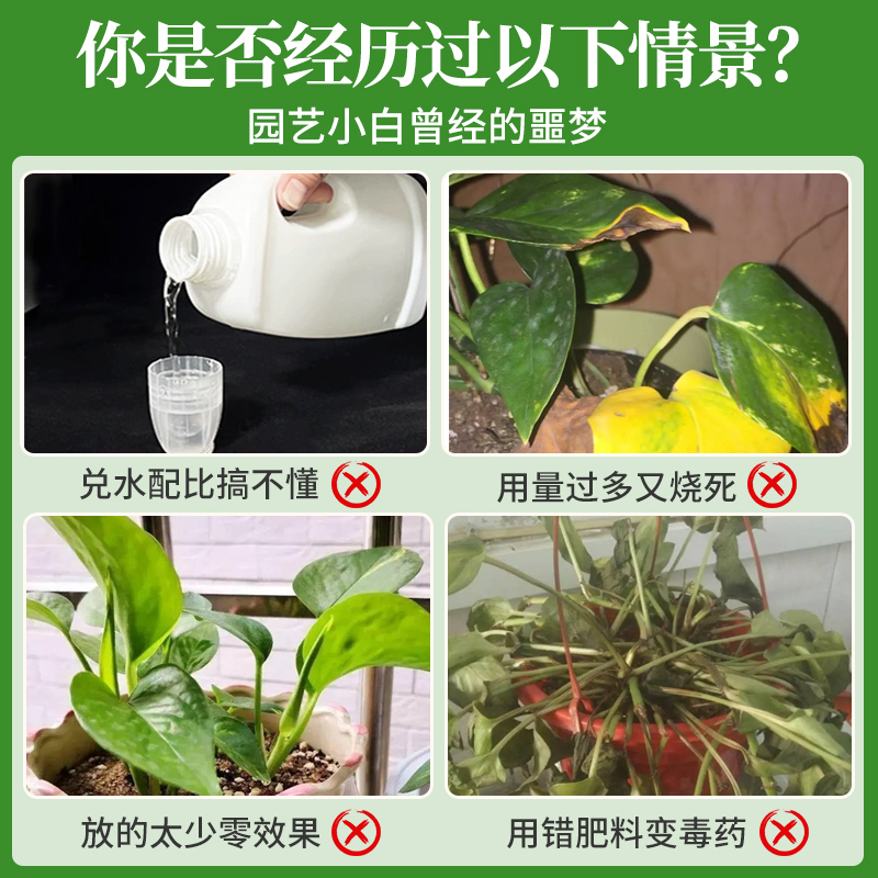 绿萝营养液免稀释绿箩专用肥叶子发黄绿萝肥料植物绿箩营业液花肥 - 图0