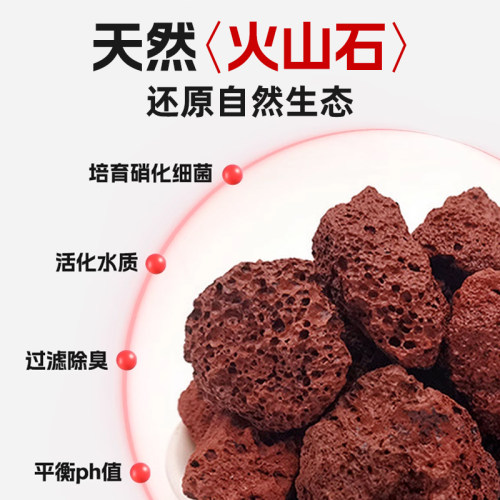 火山石园艺专用多肉兰花植物通用盆栽颗粒营养土铺面岩石垫底装饰 - 图2