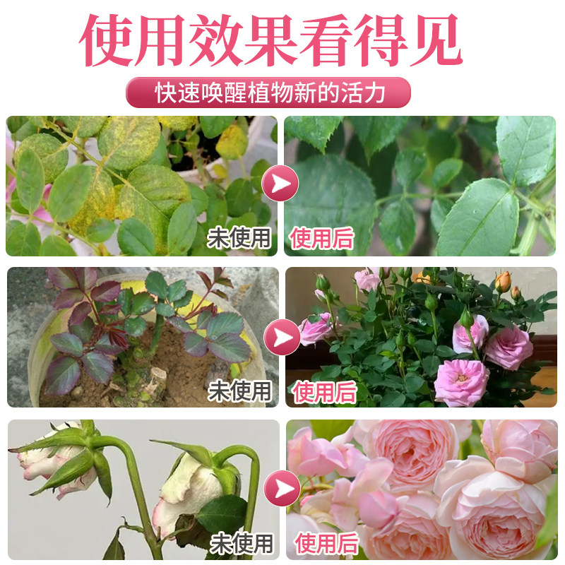 月季花专用肥月季营养液黄叶玫瑰花蔷薇花开花肥料叶面肥盆栽肥,淘宝优惠券,粉丝福利购,淘宝优惠卷