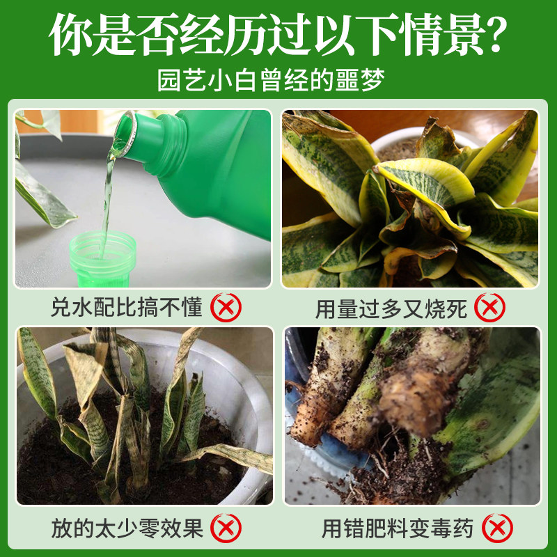 虎皮兰营养液免稀释花肥虎皮兰专用肥料盆栽金边绿植水溶肥,淘宝优惠券,粉丝福利购,淘宝优惠卷