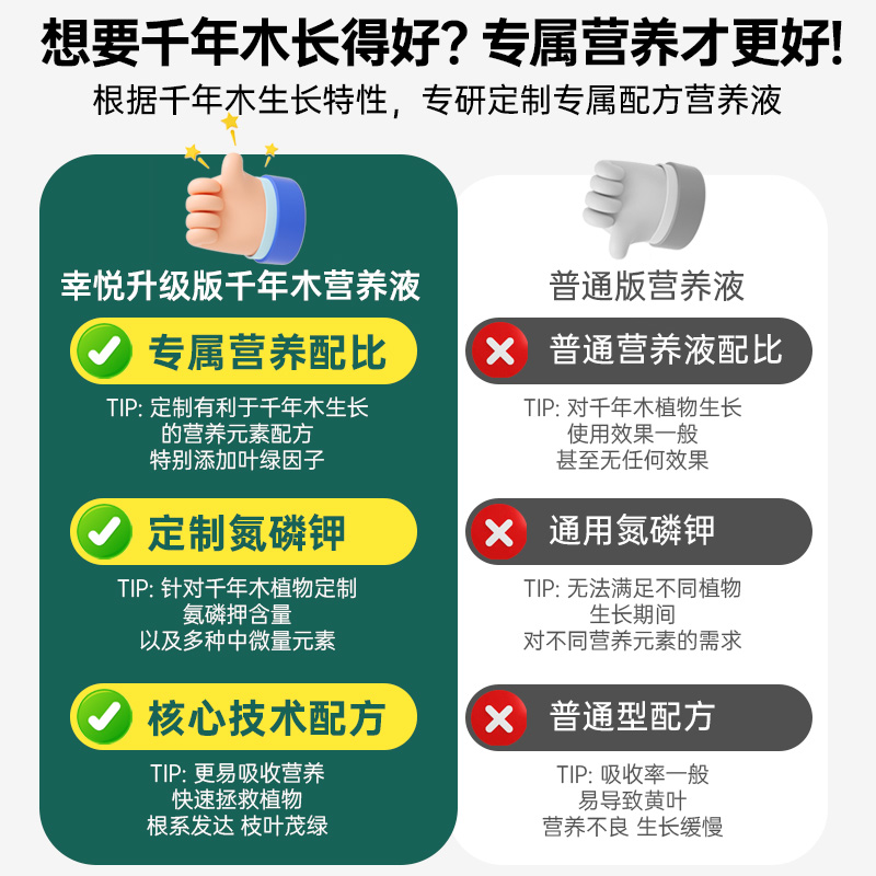 千年木营养液花肥马尾铁七彩铁千年木专用肥料水溶液体肥有机肥 - 图0