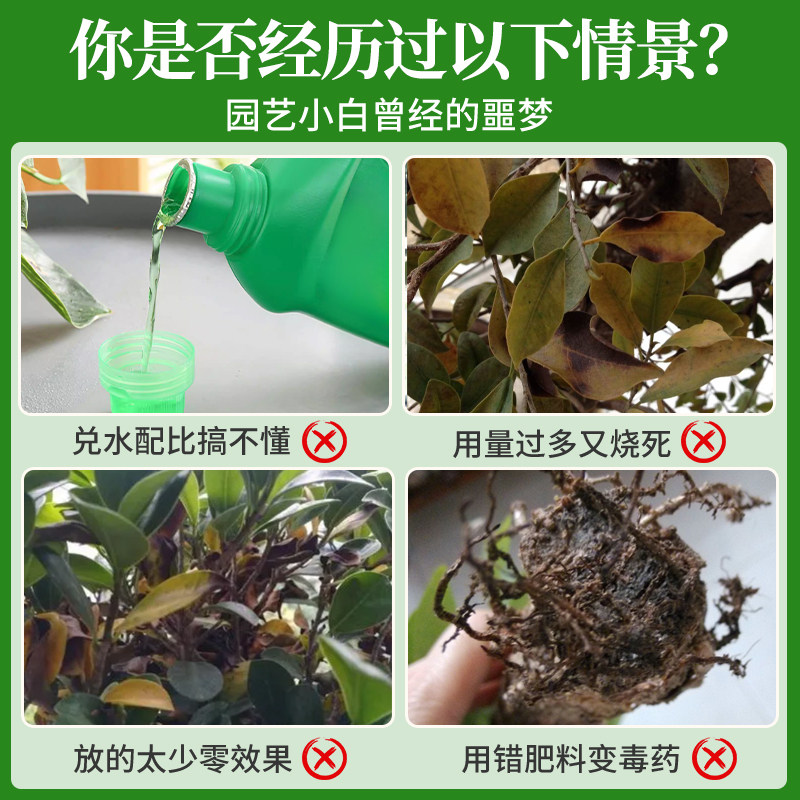 榕树专用营养液肥料金钱榕人参榕小叶榕盆景免稀释叶面液体水溶肥,淘宝优惠券,粉丝福利购,淘宝优惠卷