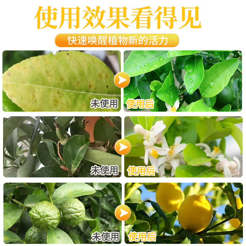 香水柠檬树肥料专用肥柠檬树营养液免稀释叶子发黄干枯盆栽植物花,淘宝优惠券,粉丝福利购,淘宝优惠卷