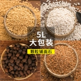 Растения цветочного горшка растения планопатически, мясо мясные гранулы, рис пшеницы, красный нефритовый камный камень вулканический камень маленький камень