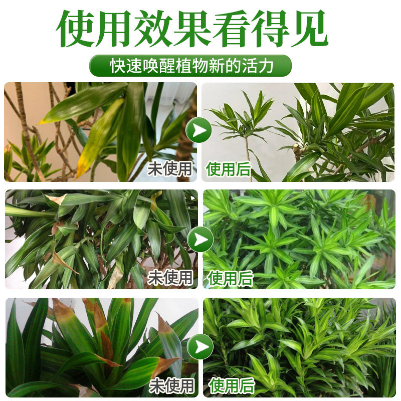 百合竹营养液花肥百合竹专用肥料治叶子发黄绿植水溶肥叶面肥,淘宝优惠券,粉丝福利购,淘宝优惠卷