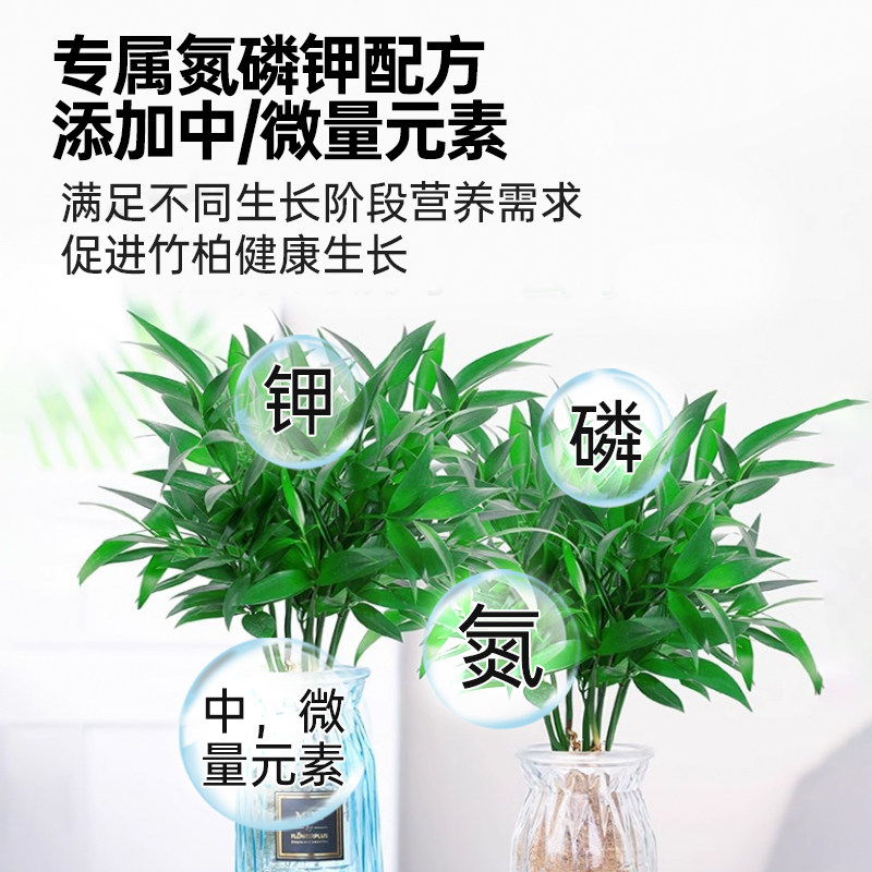 竹柏营养液花肥治黄叶烂根驱蚊草水培植物专用肥料室内盆栽兴旺竹,淘宝优惠券,粉丝福利购,淘宝优惠卷