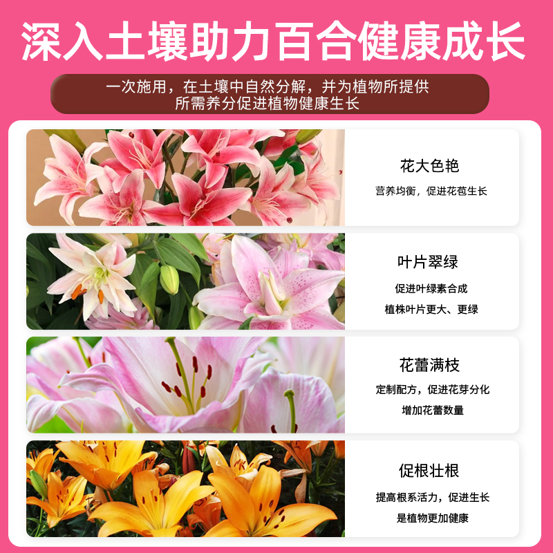 百合花专用肥缓释肥花肥营养液催花开花球根盆栽百合花肥料有机肥 - 图1