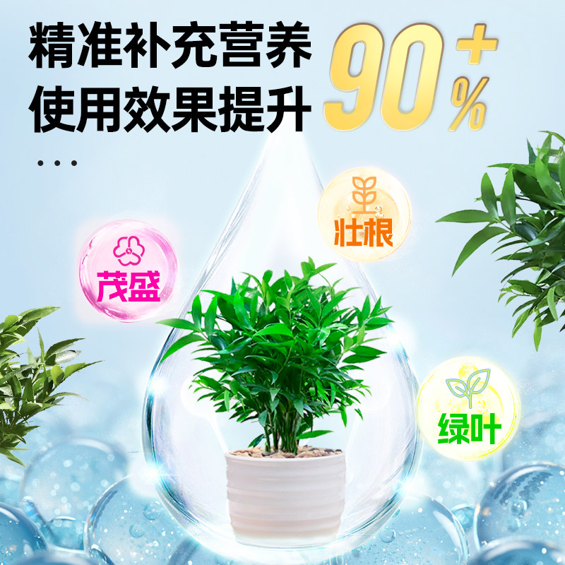 竹柏营养液花肥治黄叶烂根驱蚊草水培植物专用肥料室内盆栽兴旺竹,淘宝优惠券,粉丝福利购,淘宝优惠卷