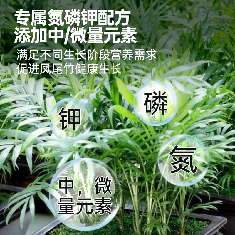 凤尾竹专用营养液花肥水培米竹凤尾蕉专用肥料散尾葵水溶液体盆栽,淘宝优惠券,粉丝福利购,淘宝优惠卷
