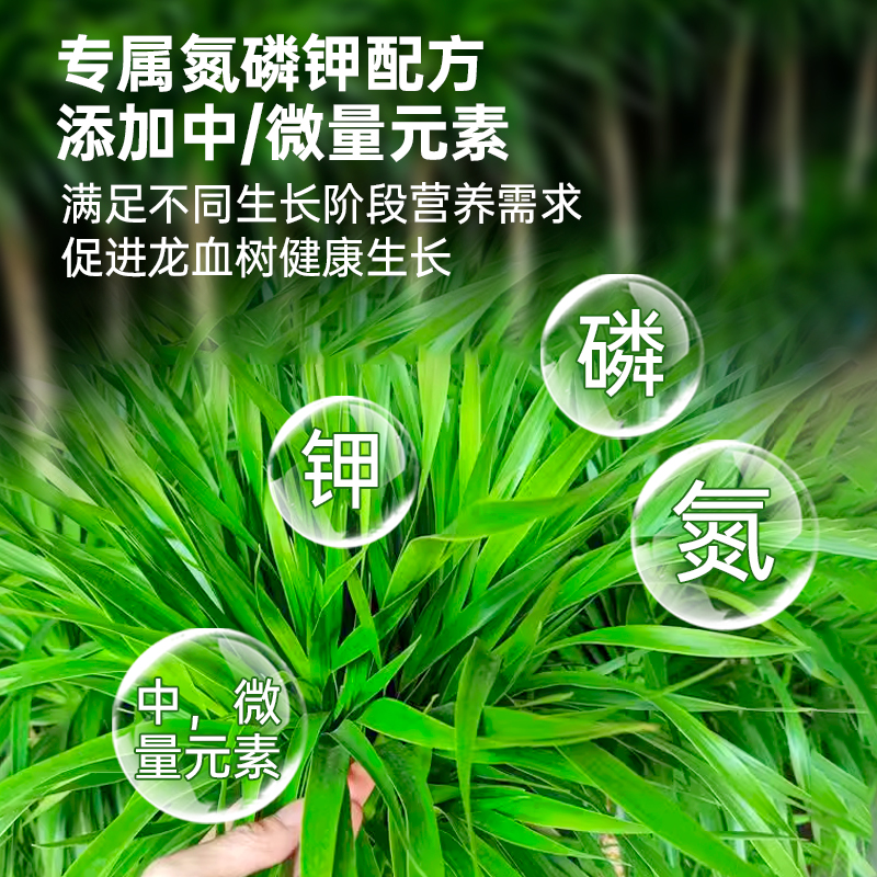 龙血树营养液叶子发黑金刚龙须树专用肥料花肥太空铁肥料盆栽通用 - 图1