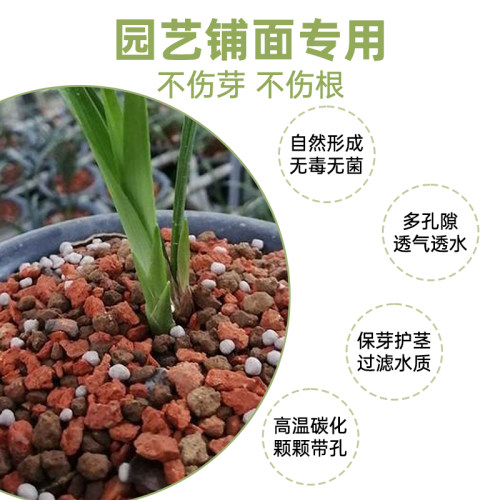 火山石园艺专用多肉兰花植物通用盆栽颗粒营养土铺面岩石垫底装饰 - 图0
