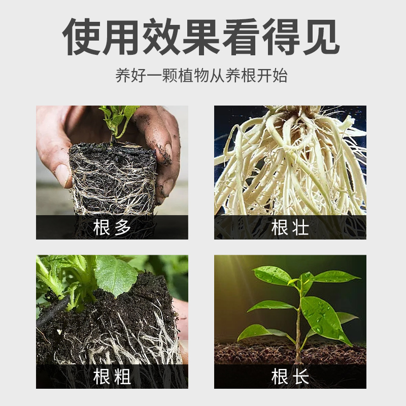 快速强力生根粉植物通用果树专用移栽扦插生根剂壮苗剂生根液树桩 - 图3