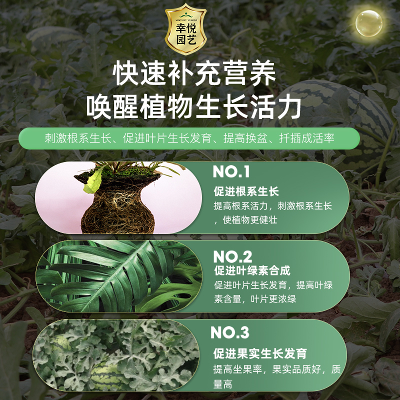 西瓜专用肥缓释肥复合肥控释肥颗粒膨果结果钙肥阳台盆栽有机肥料-图3