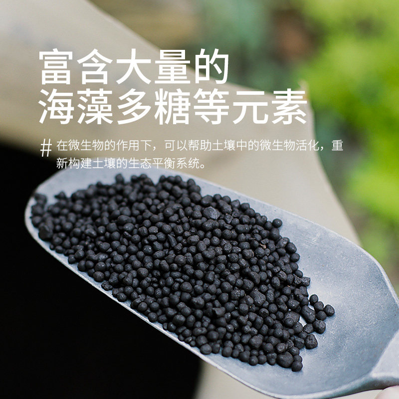 种花王大爷王多多海藻颗粒有机肥海藻肥通用肥料月季玫瑰多肉花肥,淘宝优惠券,粉丝福利购,淘宝优惠卷