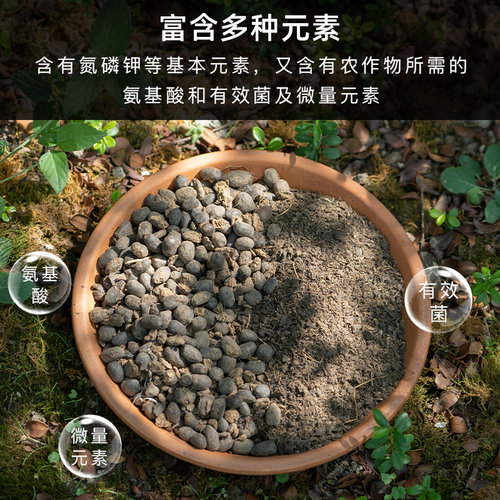 种花王大爷羊粪发酵肥颗粒花卉专用基肥底肥种花肥料养花果蔬通用 - 图0