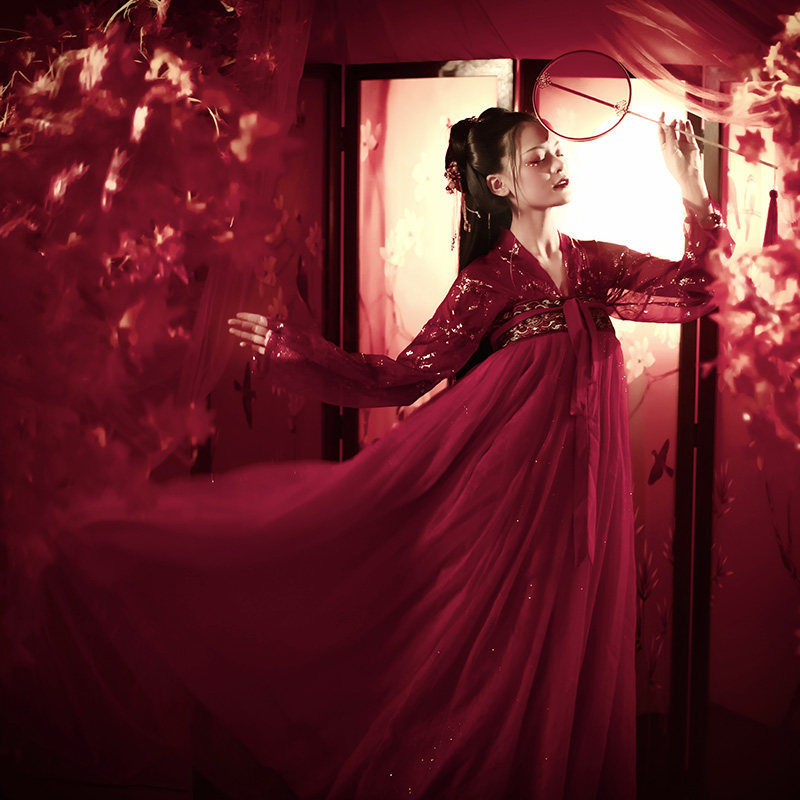 尖妃【醉唐风】新款女齐胸仙对襟汉服 尖妃民族服装/舞台装