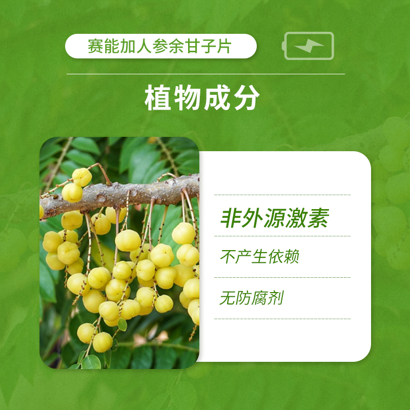 动能加赛能加余甘子促睾酮提高睾酮运动耐力备赛体育生体考补剂