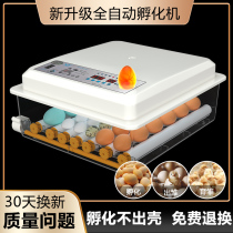 Incubators Small Fully Automatic Hatching Machine Home Type Intelligent Hatching Egg Luding Small Chicken Quail Duck Goose Hatching Box